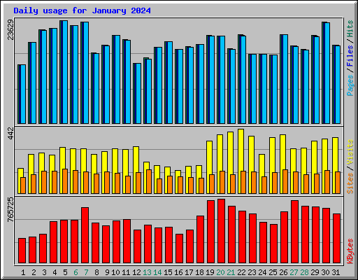 Daily usage for January 2024