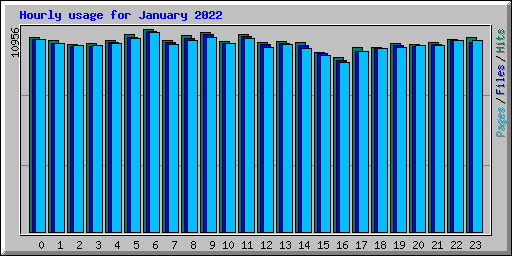 Hourly usage for January 2022