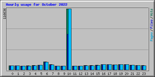 Hourly usage for October 2022