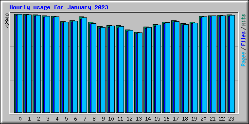 Hourly usage for January 2023