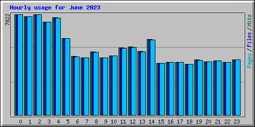 Hourly usage for June 2023