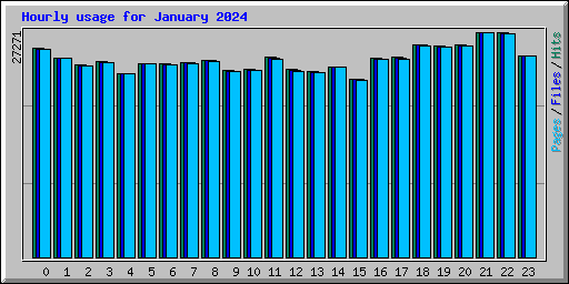 Hourly usage for January 2024