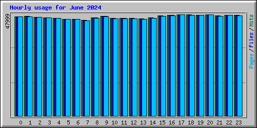 Hourly usage for June 2024