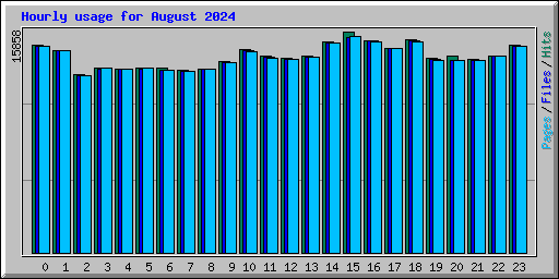 Hourly usage for August 2024