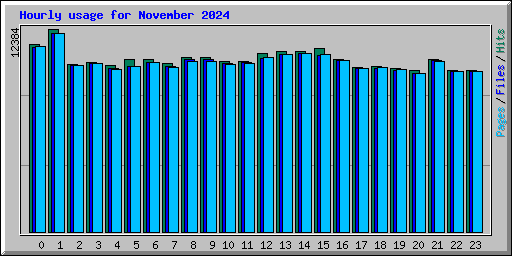 Hourly usage for November 2024