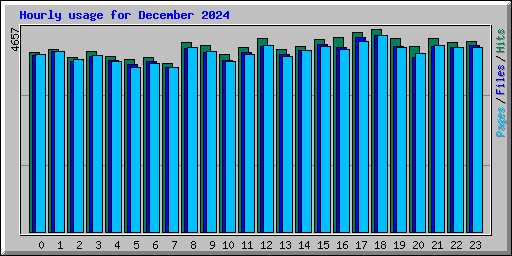 Hourly usage for December 2024