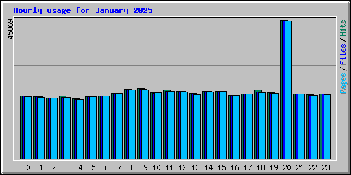 Hourly usage for January 2025